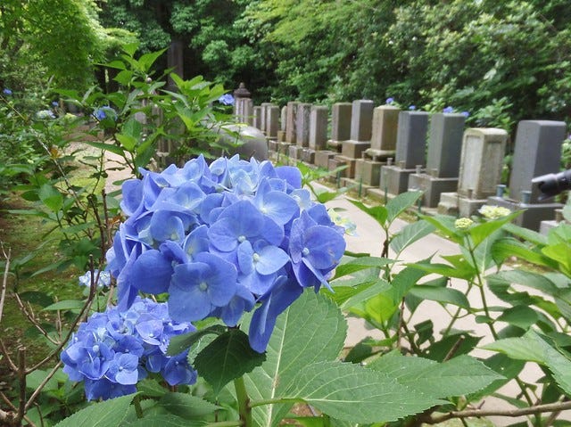 Hondo-Ji Temple, Chiba, Japan Hondo-Ji Temple, Chiba, Japan