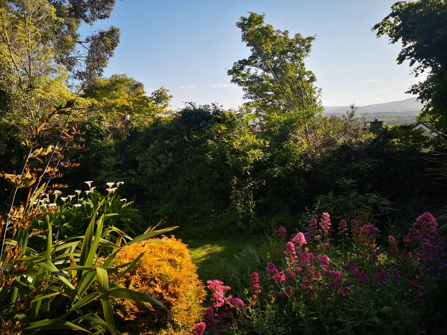 Last day at Leashafen, Killiney
