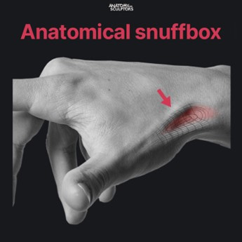 snuffbox 