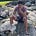 Anthony Rafael Worman's avatar