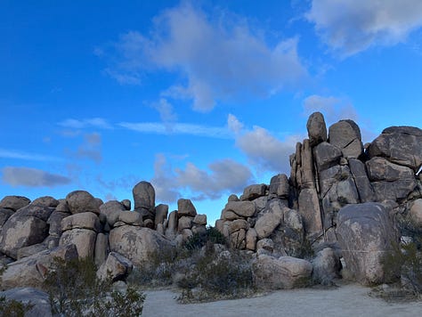 Photos of Joshua Tree National Park