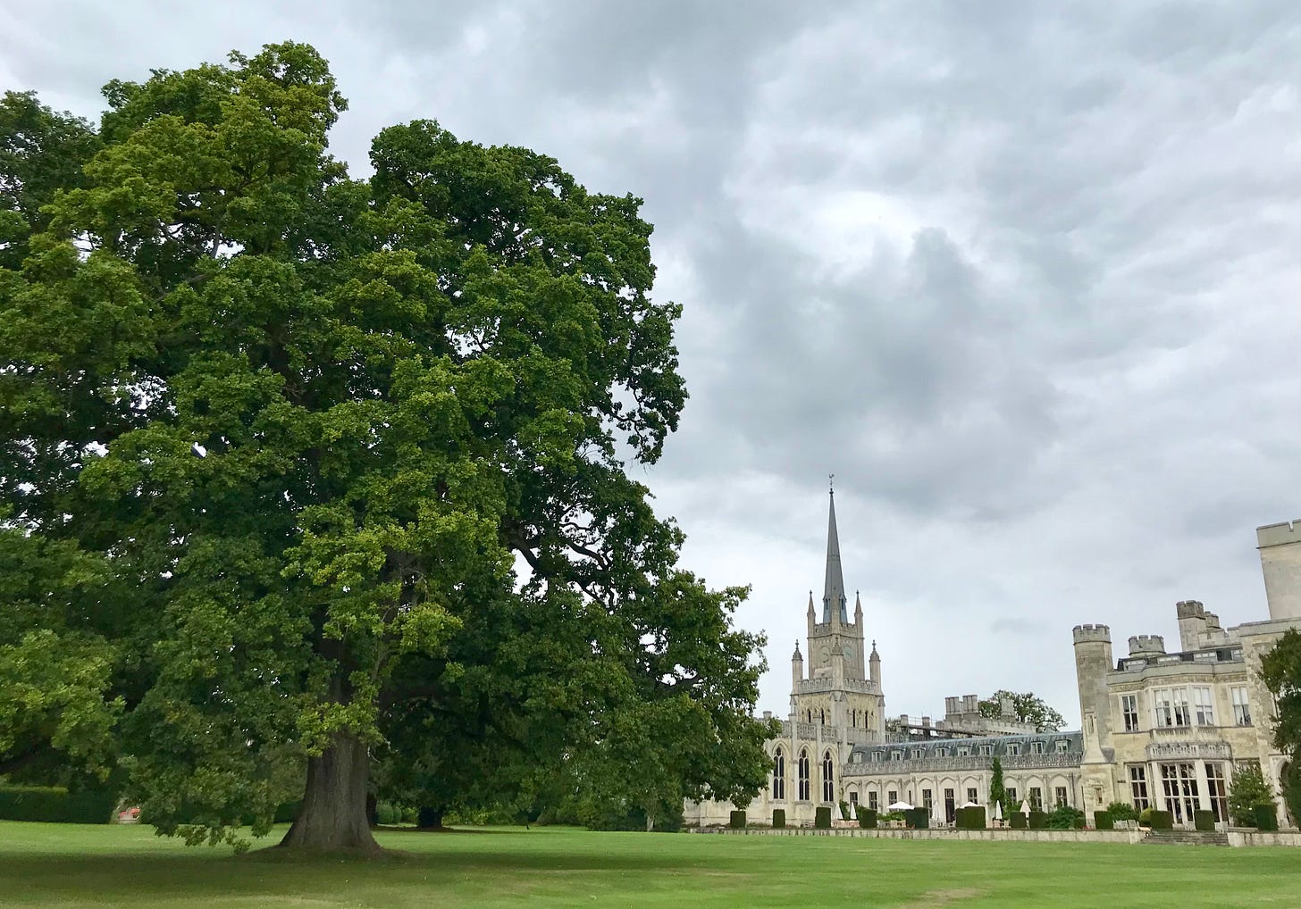 Princess Victoria’s oak tree 