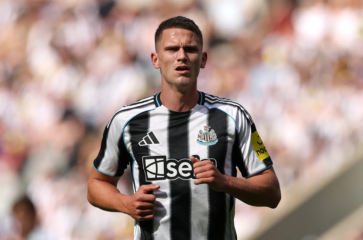 c178800c-58fd-42e3-8bb6-a2b989a912ed_295