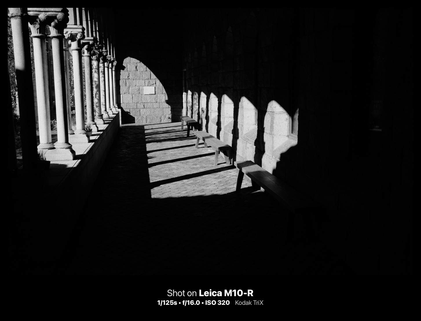 black and white photograph. cameraclara.com all rights reserved.