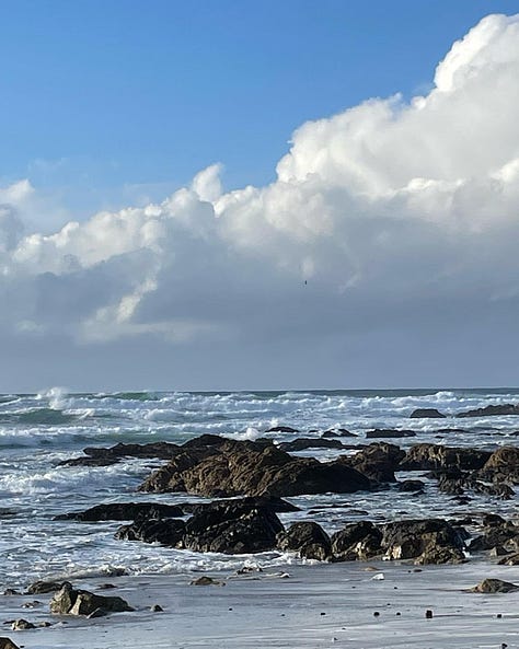 Pacific Grove by Sabrina Simpson