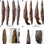 Anthropology.net