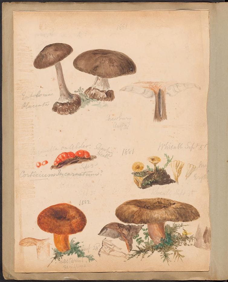 Book page image