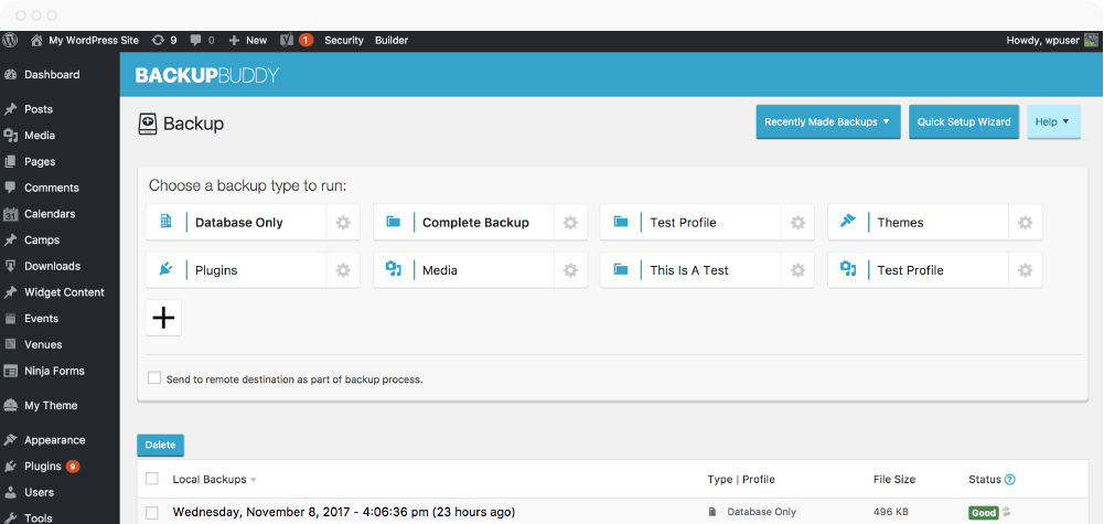 BackupBuddy | WordPress Backup Plugin by iThemes