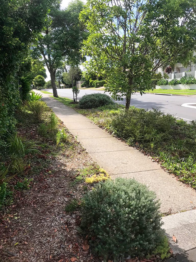 photos of a verge garden
