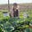 Katie Stacey's avatar