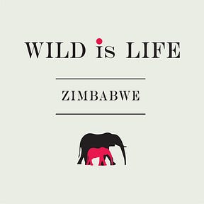 WildSong, by Wild is Life