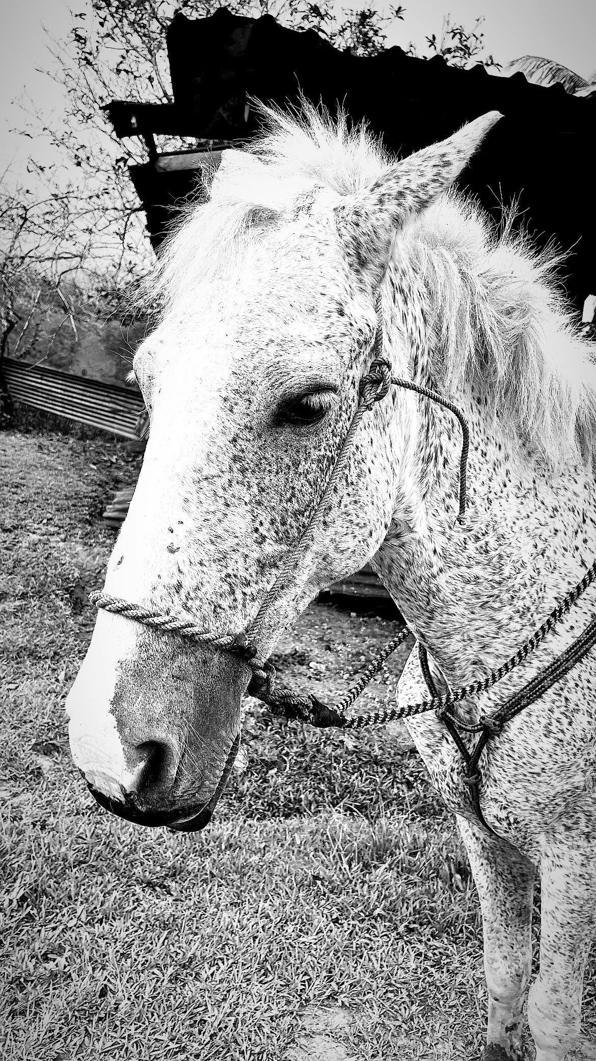 041: Choosing Life, Choosing You! 041: Choosing Life, Choosing You!