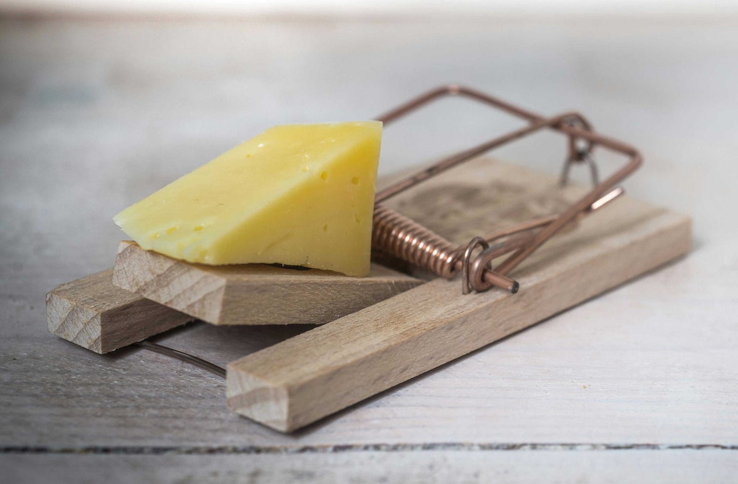 A mousetrap with a large block of cheese for bait