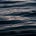 Staged’s Substack