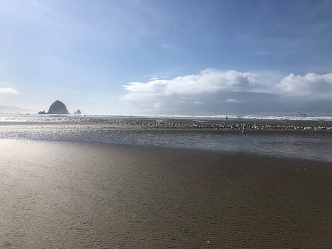 Haystack Rock, Cannon Beach, tide pools