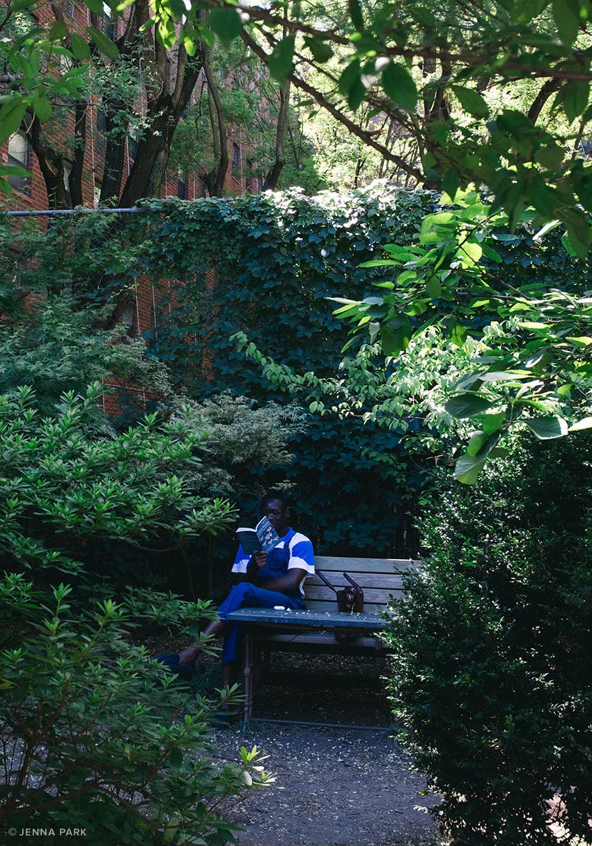 A summer afternoon spent reading A summer afternoon spent reading