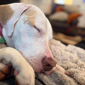 Rescues of the Contrarian