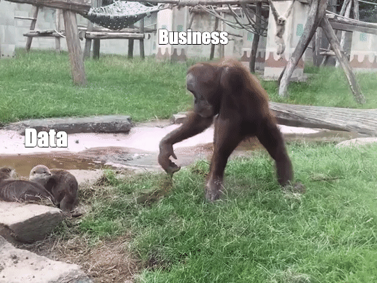 data engineering meme; business poking data