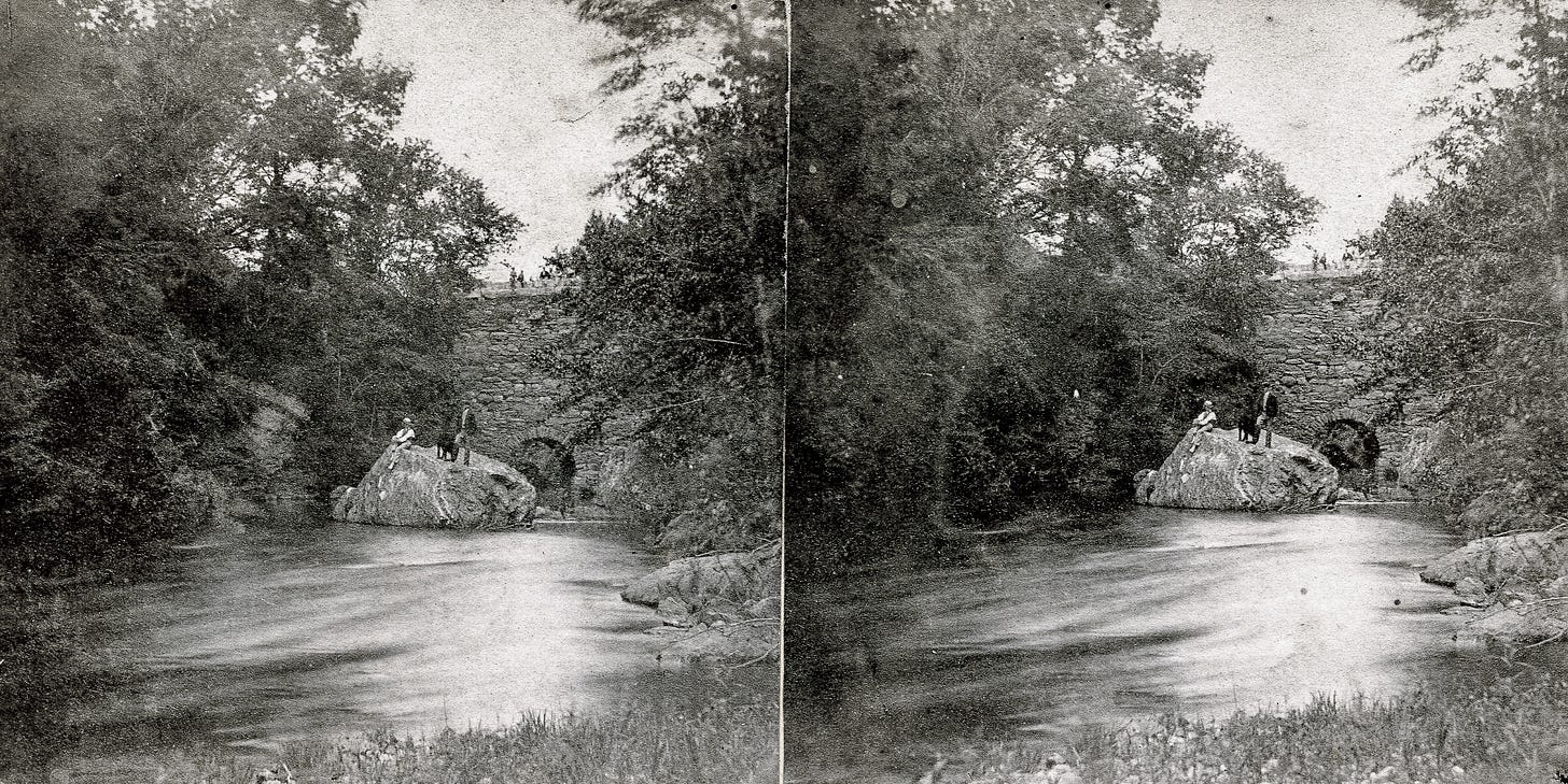 Man, woman and dog on rock in river near bridge