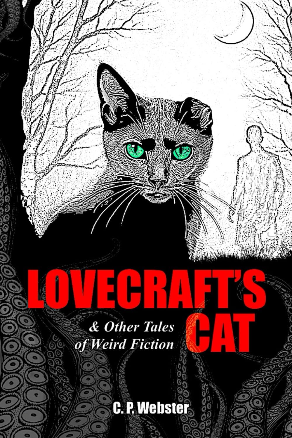 The Unnamable Horror is a Black Cat
