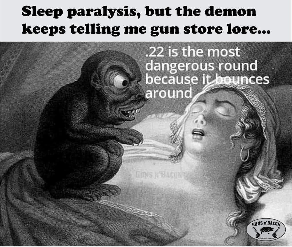 May be an image of text that says 'Sleep paralysis, but the demon keeps telling me gun store lore... 22 is the most dangerous round because it bounces around GONS NBACONE 18A GUNS GUNS'BACON n' AOM emrsca'