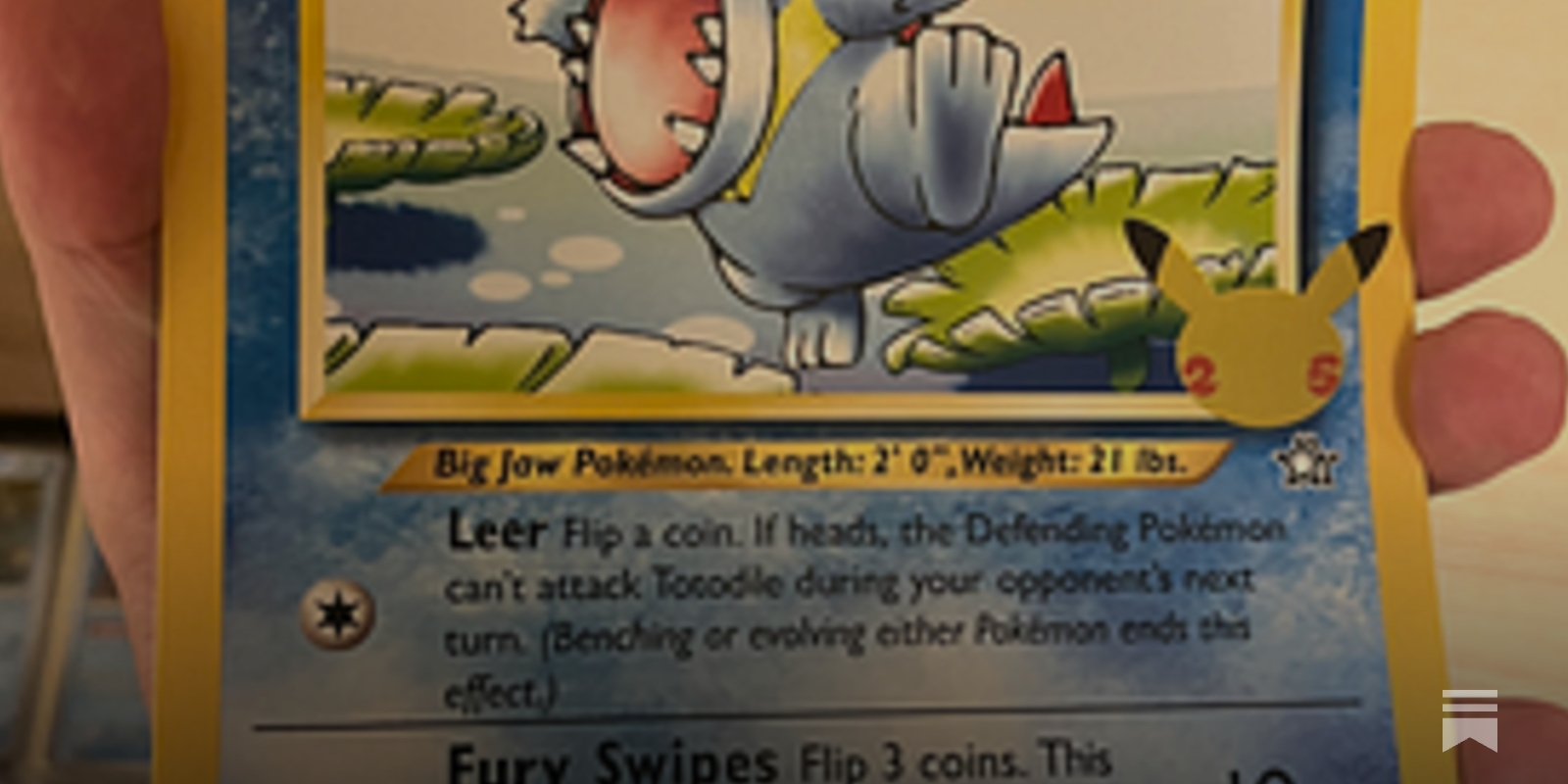 Catch 'Em All Without Breaking the Bank: A Guide to Pokmon Card Collecting  in 2025
