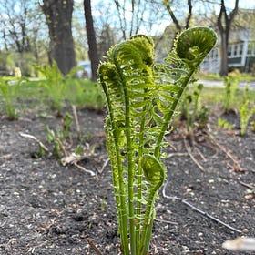 Ode to Mother Earth