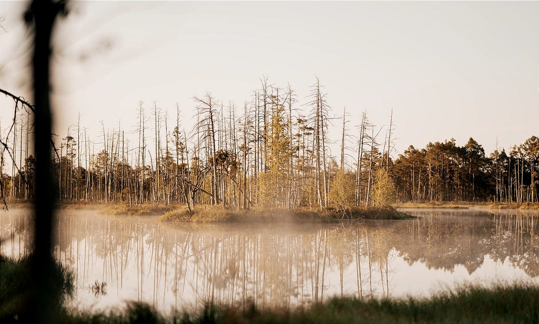 The Myr Has a Thousand Eyes