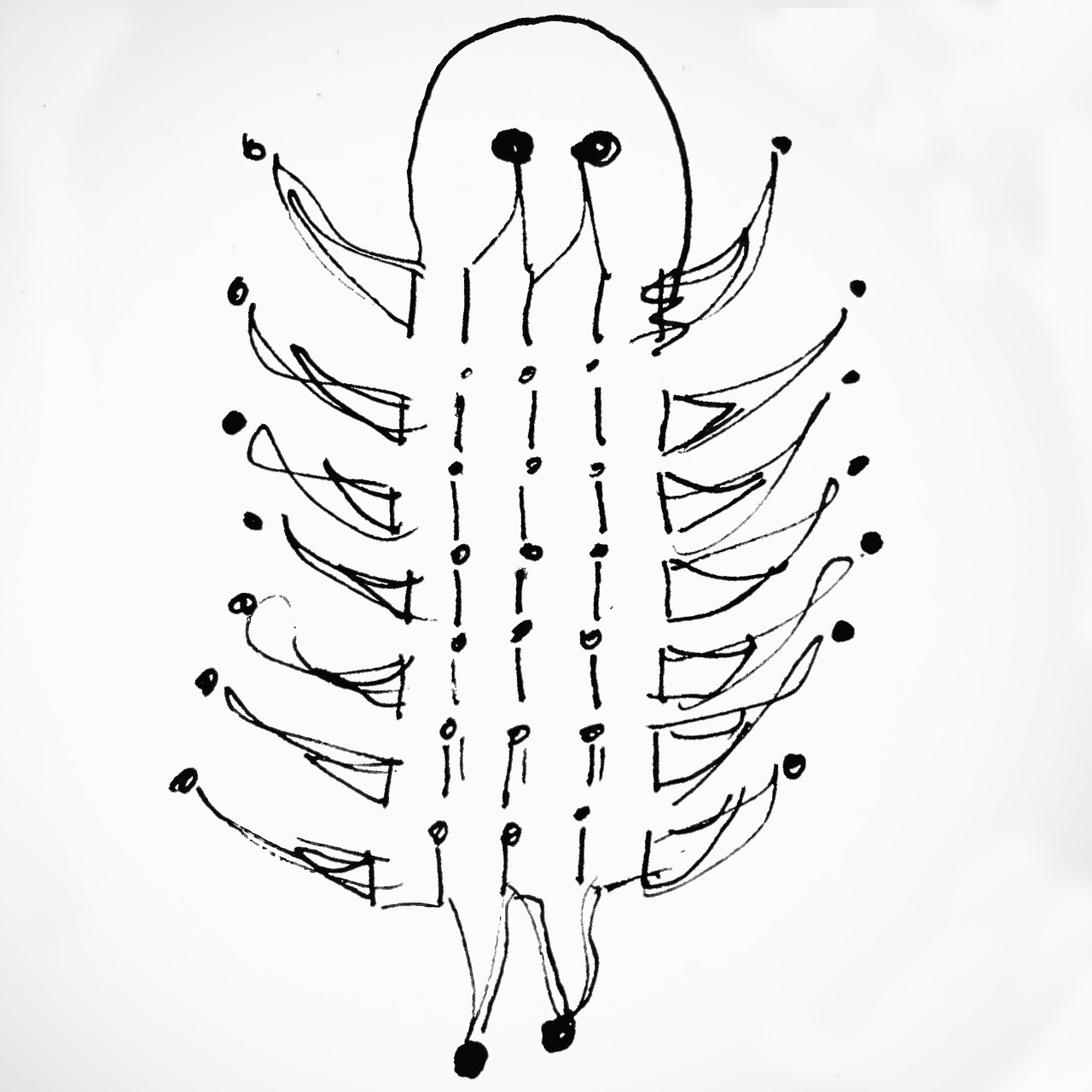 MetaMorph: A Journal