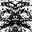 Frater Circles's avatar
