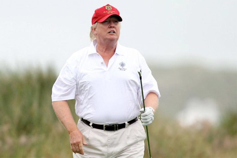 READY, FIRE, AIM: How Big is Donald Trump, Really? – Pagosa Daily Post News  Events & Video for Pagosa Springs Colorado