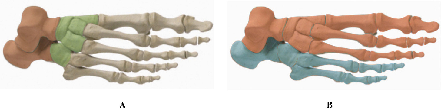 jposna20220028_fig1.jpg jposna20220028_fig1.jpg