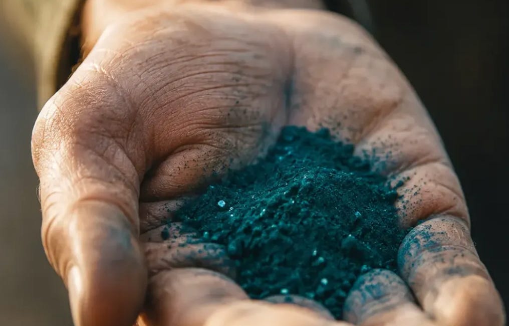 We Are, In Part, Cyanobacteria: What a Blue Pigment Remembers