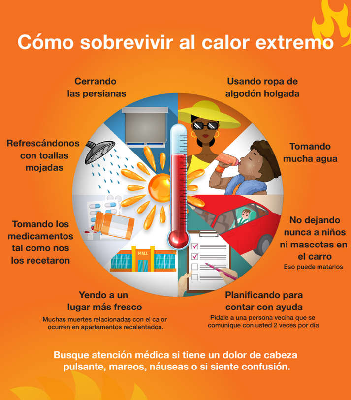 qué hacer durante una ola de calor