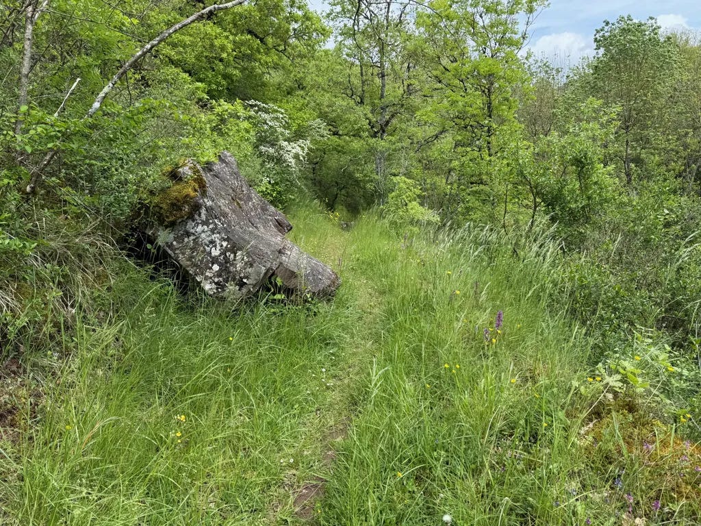 Single herbeux
