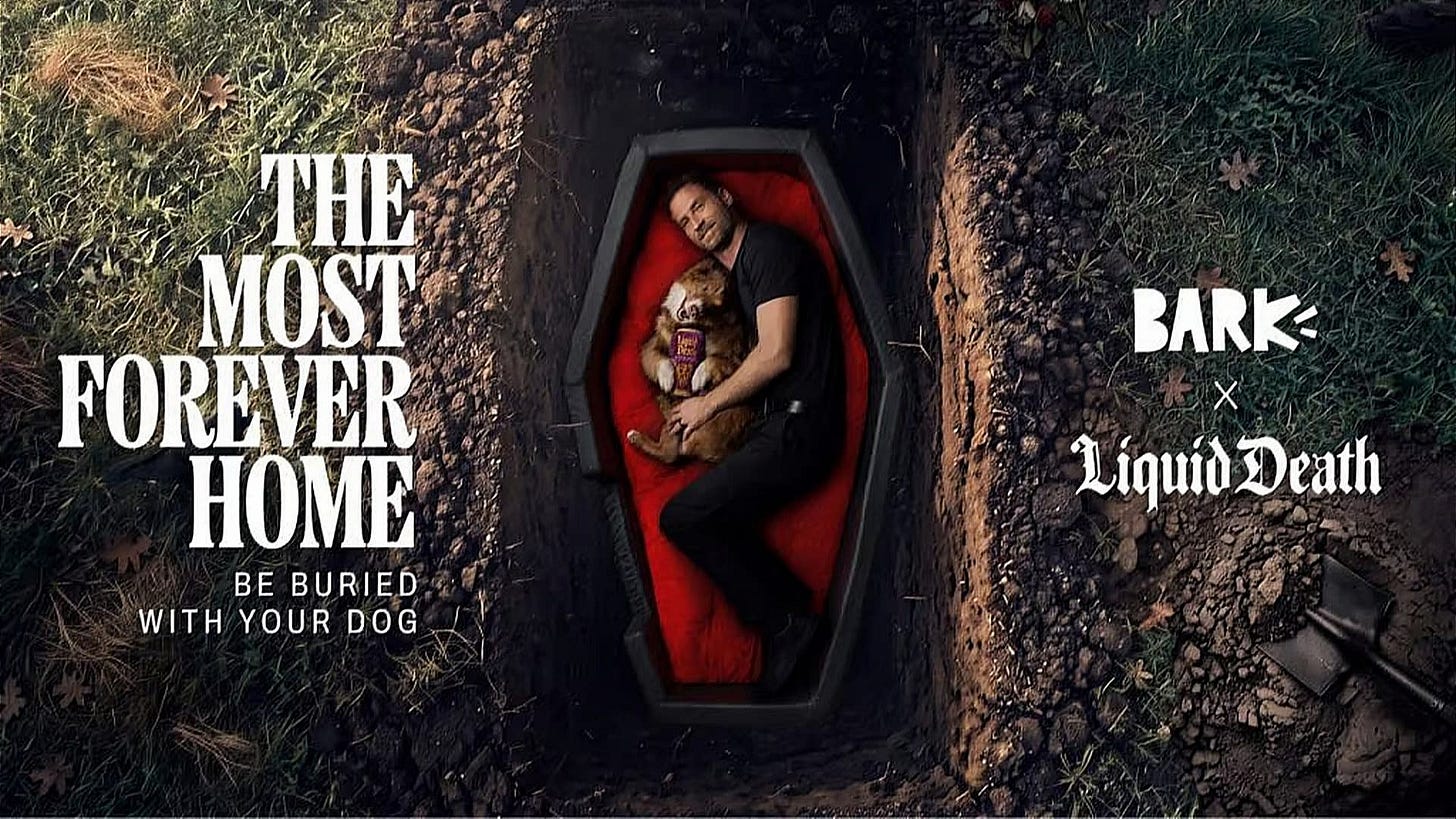 Liquid Death Teams With BARK For “The Most Forever Home” Coffin