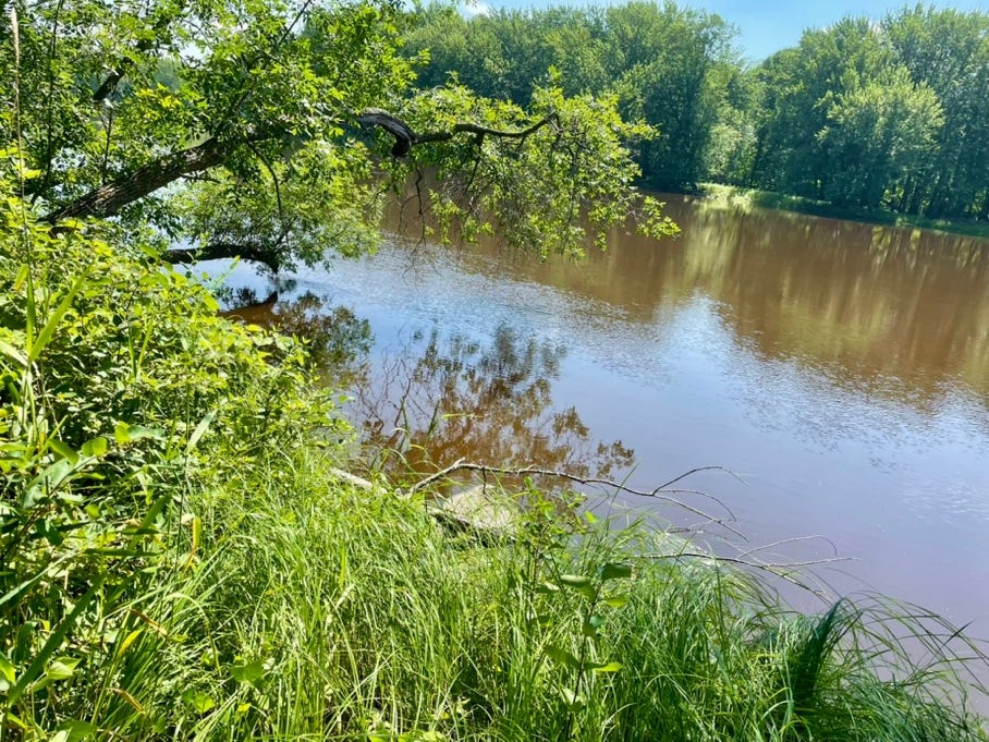 A river with trees and grass

AI-generated content may be incorrect.