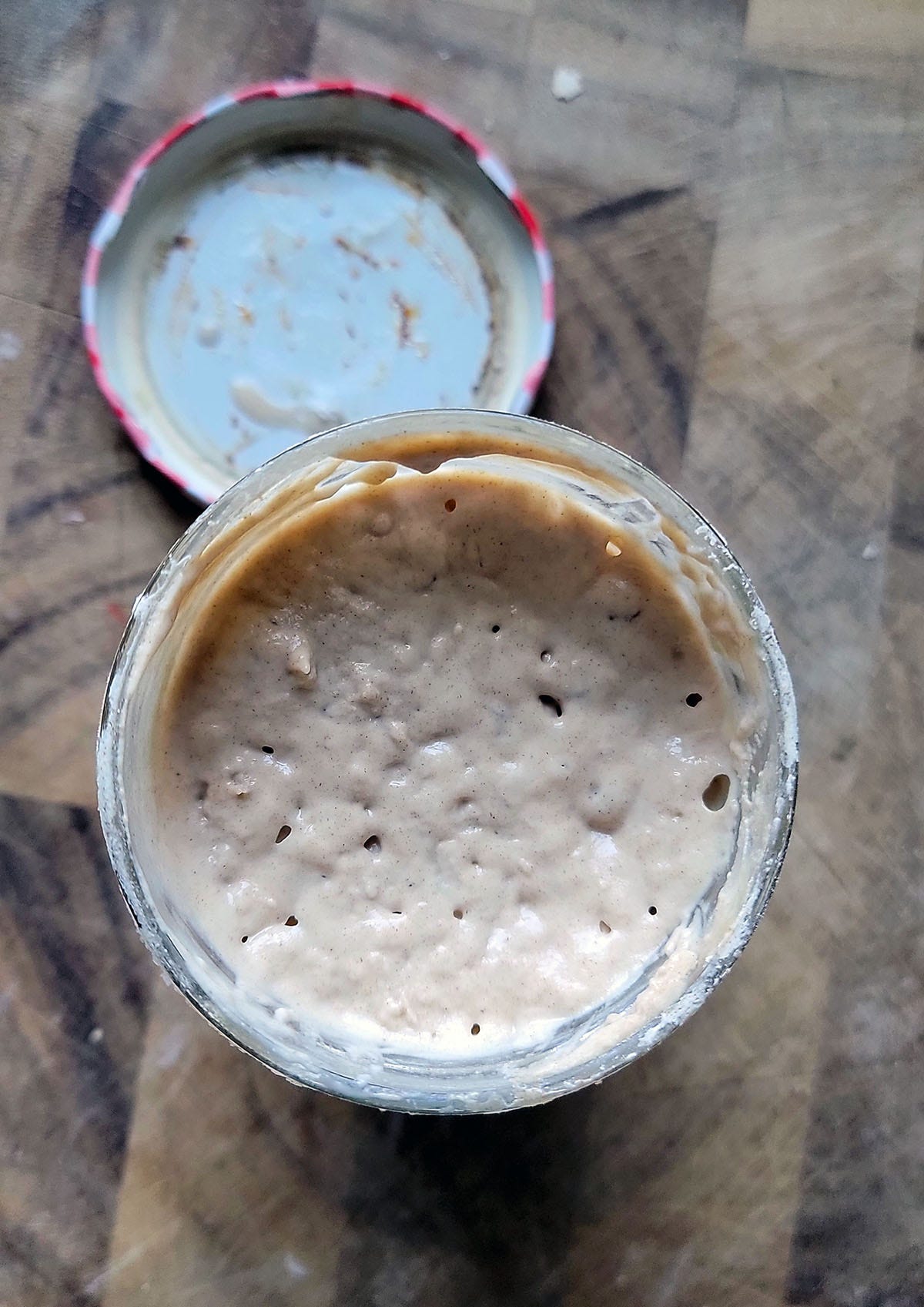 A rye sourdough starter bubbling. 