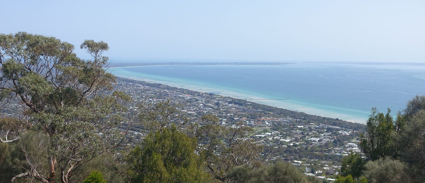 Panoramic coastal view from elevated position showing suburban houses along the shoreline of Port Phillip Bay, with eucalyptus trees in the foreground and turquoise waters extending to the horizon