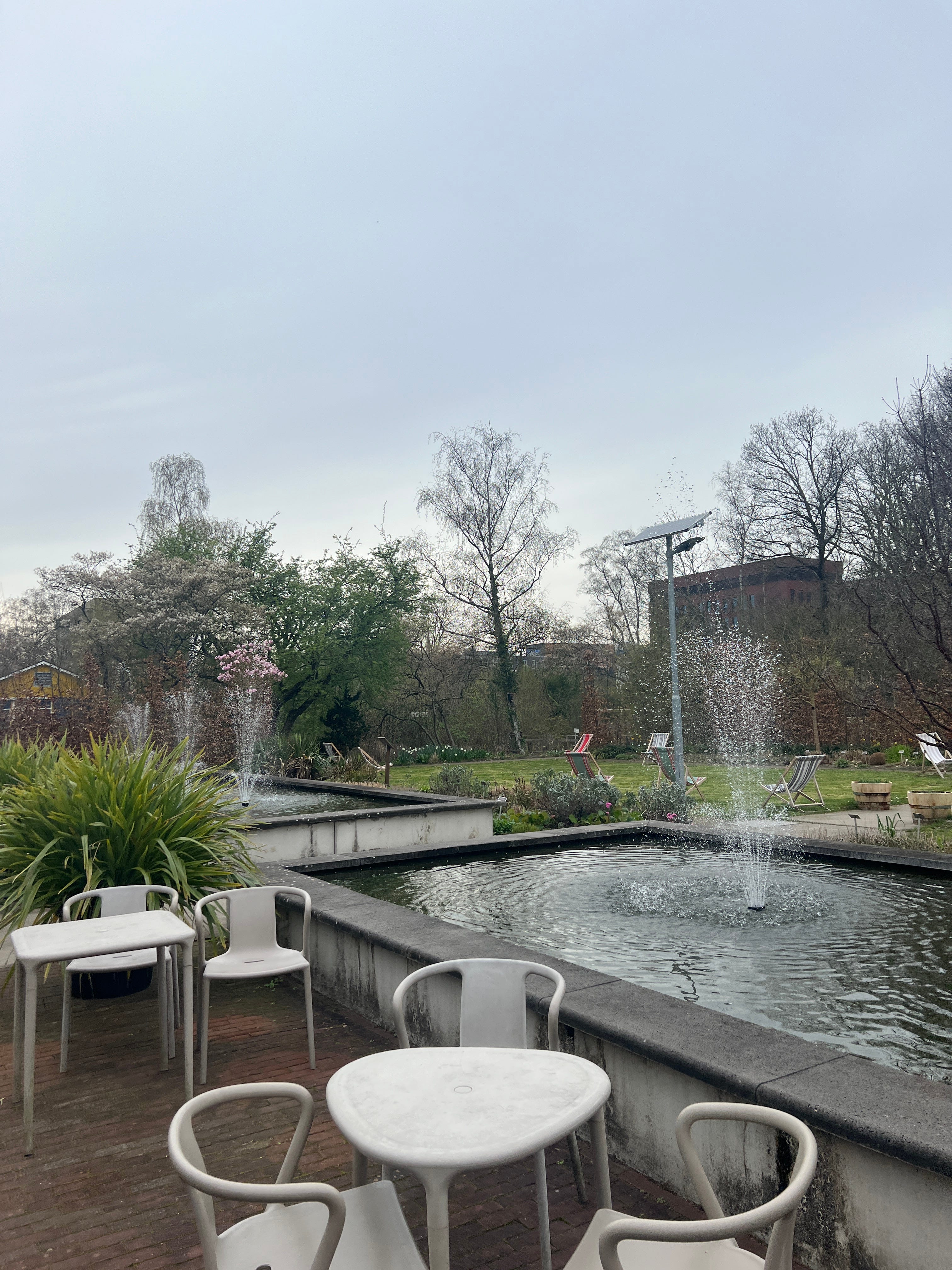 70. Amsterdam's Hidden Botanical Garden