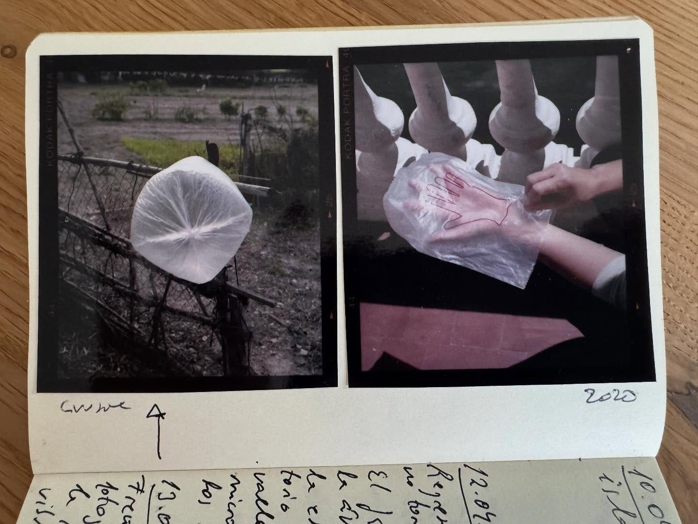 Nessuna descrizione della foto disponibile.