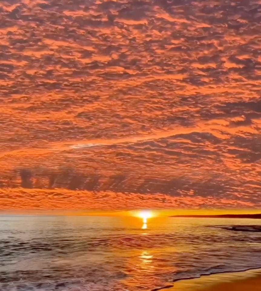 9/18深度會員討論區- MimiVsJames美股即時策略分享