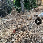 «No quiero callar»: Un vecino denuncia la acumulación de basura en una parcela