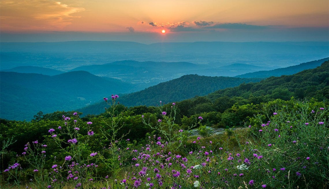 Things to Know About Visiting Shenandoah National Park