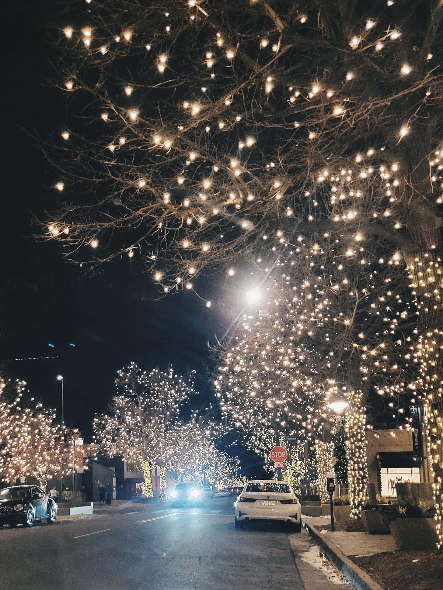 Cherry Creek North shopping district in Denver winter evening with thousands of string lights wrapped around tree-lined boulevards Cherry Creek North shopping district in Denver winter evening with thousands of string lights wrapped around tree-lined boulevards