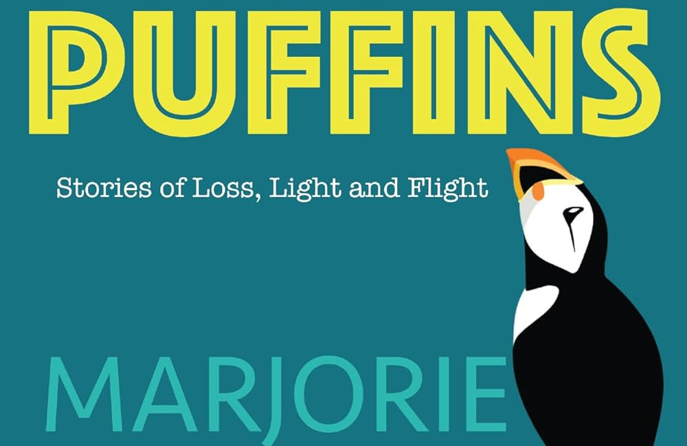 In Search of Puffins by Marjorie Simmins