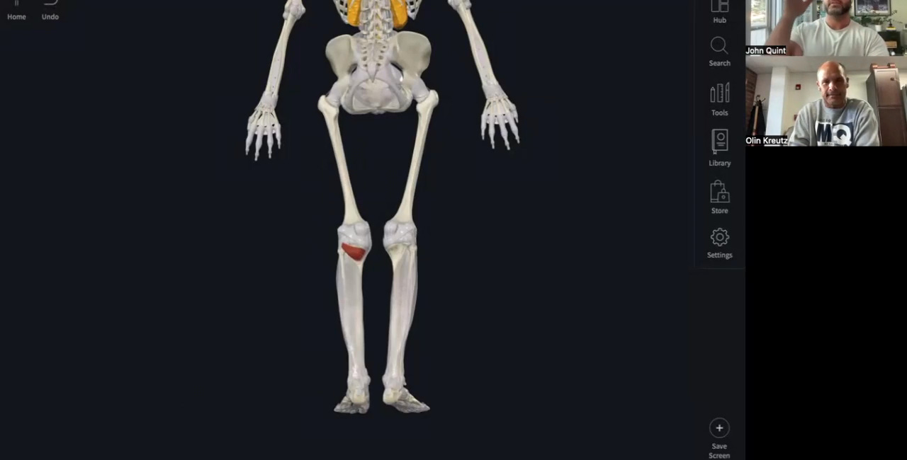 MCL Mechanism of Injury + Popliteus Rehabilitation