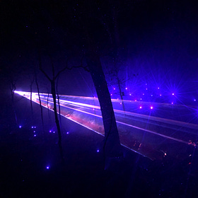 Faerie Lights in the Forest