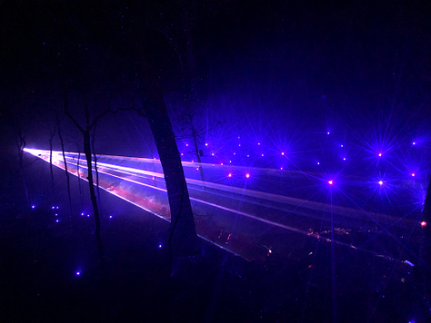 A blue and violet laser light beams through the dark forest. All around, sapphire faerie lights shine starbursts into the night