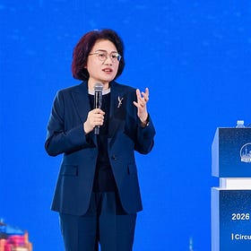 From Huawei to DeepSeek: the galapagosization of Chinese tech deepens